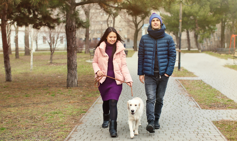 매일 걷기의 신체적 이점